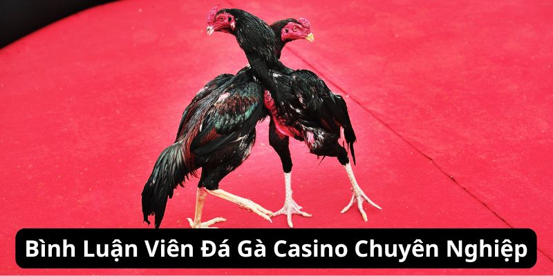 Đá gà casino Jun88 có hệ thống bình luận viên chuyên nghiệp