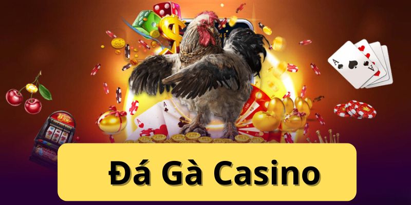 Đá Gà Casino