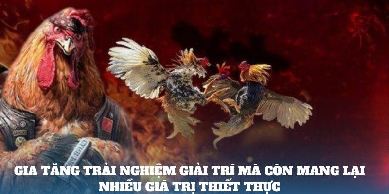 Gia tăng trải nghiệm giải trí mà còn mang lại nhiều giá trị thiết thực