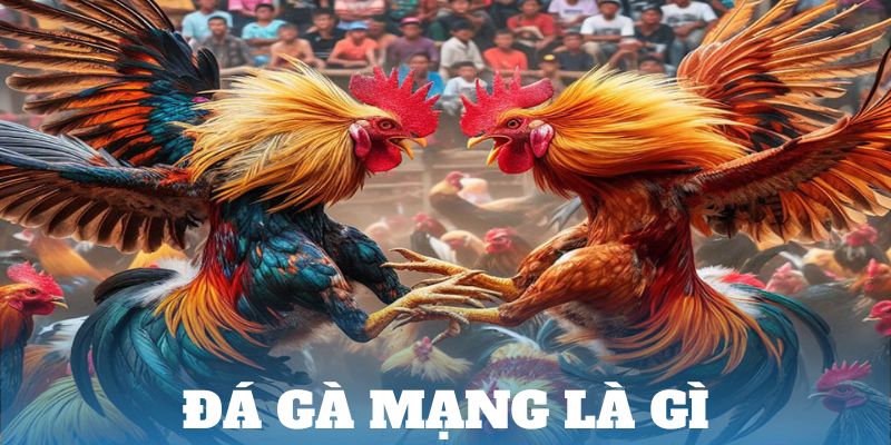 Đá gà mạng là gì