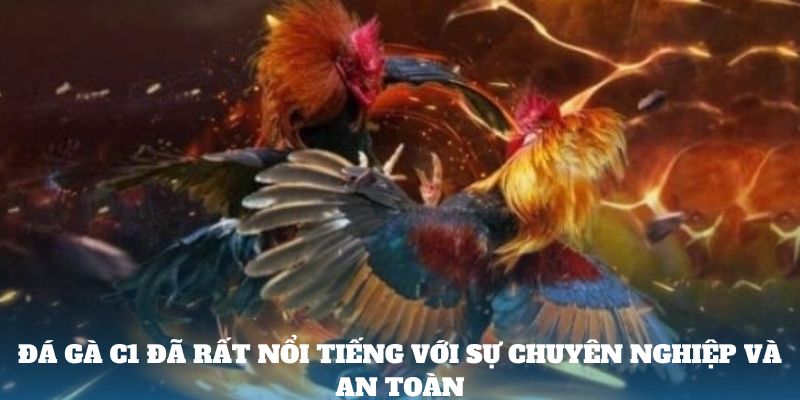 Đá gà c1 đã rất nổi tiếng với sự chuyên nghiệp và an toàn