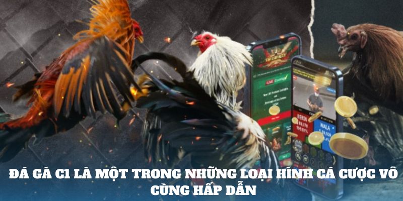 Đá gà c1 là một trong những loại hình cá cược vô cùng hấp dẫn